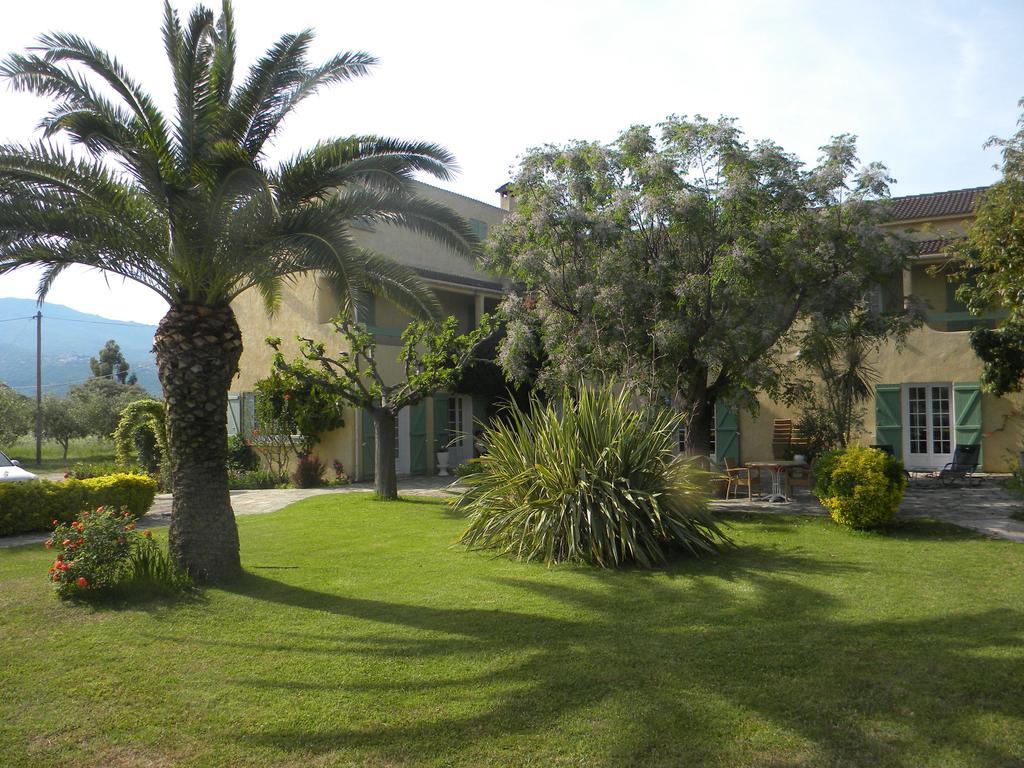 Auberge Les Oliviers Lucciana  Dış mekan fotoğraf