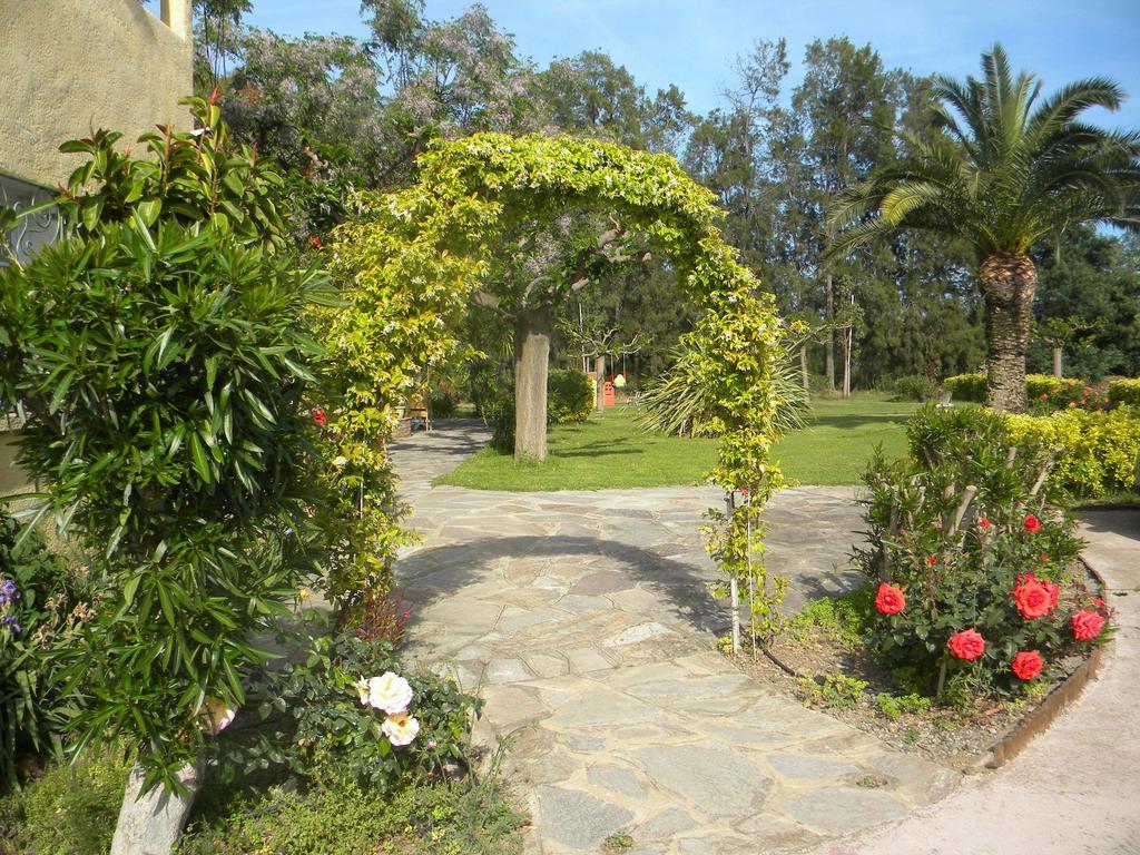 Auberge Les Oliviers Lucciana  Dış mekan fotoğraf
