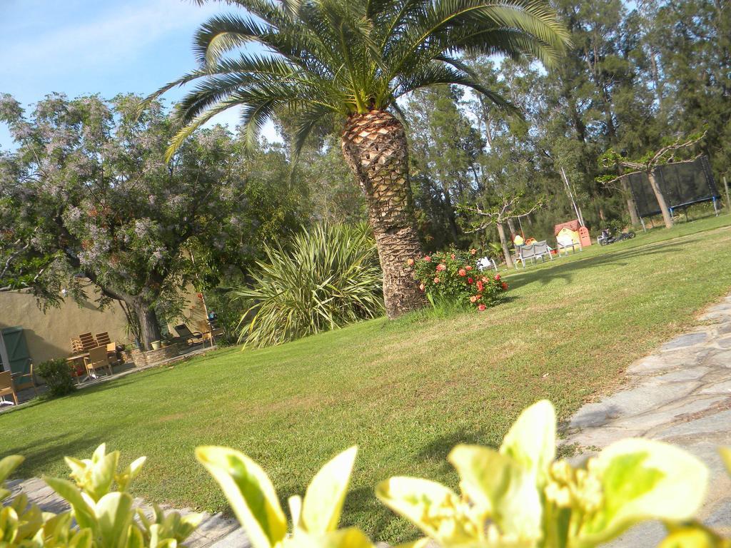 Auberge Les Oliviers Lucciana  Dış mekan fotoğraf